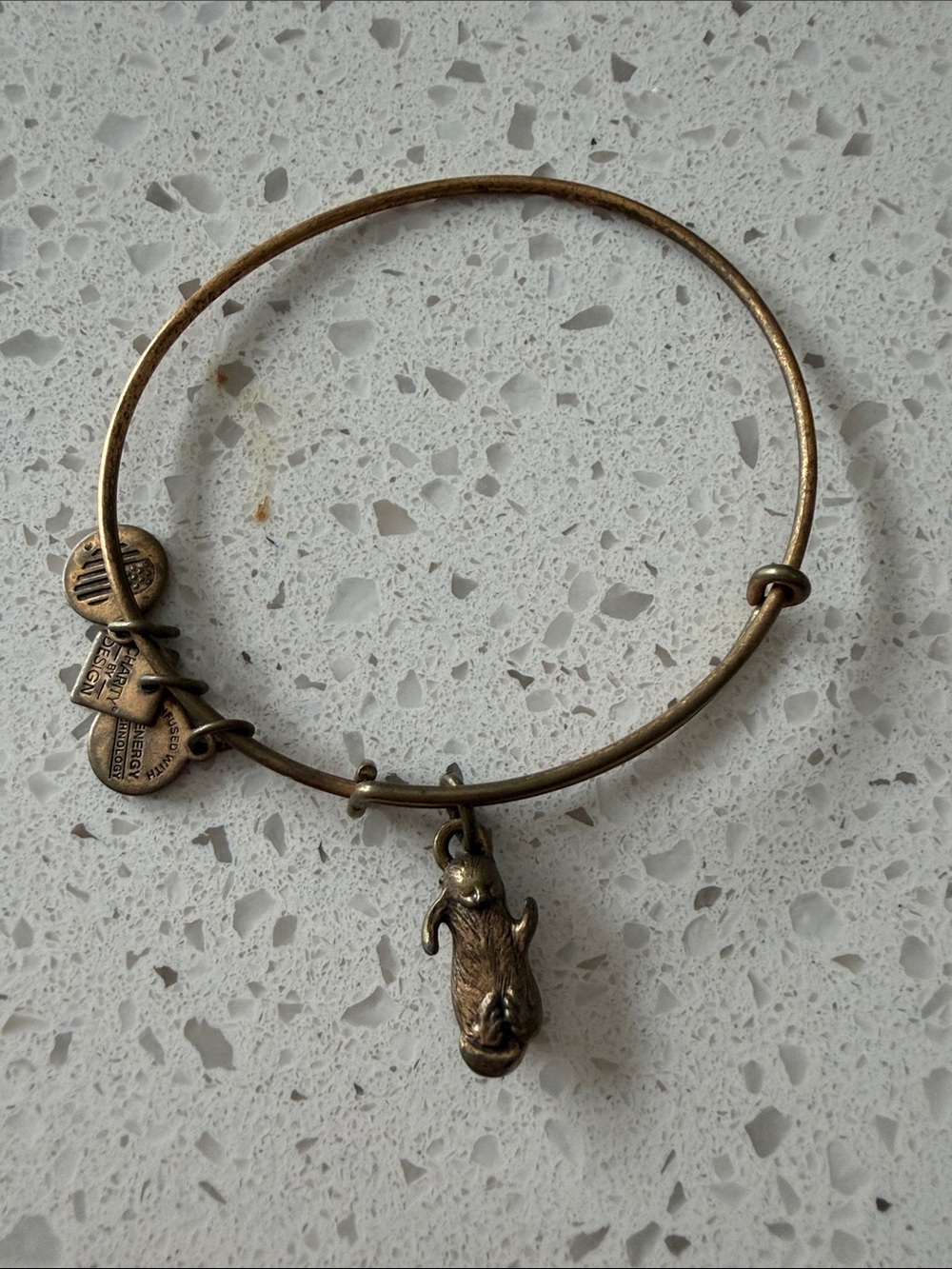 Alex and Ani Brass Tone Rabbit Charm Bangle - Gold Finish
